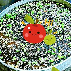 地瓜粉糕的做法[图]