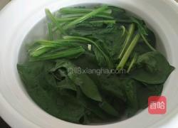 凉拌粉丝菠菜的做法图解5