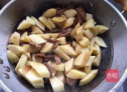 土豆烧肉的做法图解9