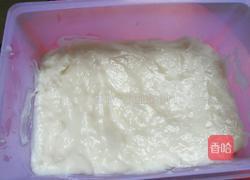 椰奶冻的做法图解6