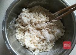 胡萝卜木耳瘦肉饺子的做法图解11