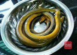 黄焖鳝段的做法图解1