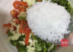 凉拌蒸茄子的做法图解8