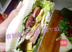 Hearty Sandwich (≧▽≦) Illustration 14