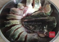 清蒸鲶鱼的做法图解1