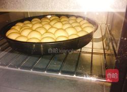 金钱小面包的做法图解13