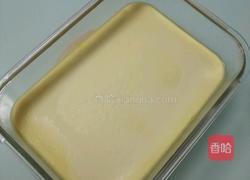 茄汁豆腐（自制豆腐）的做法图解7