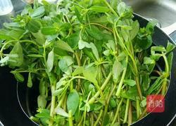 凉拌马齿苋的做法图解1