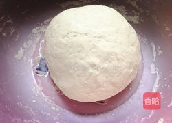 香菇胡萝卜猪肉馅包子的做法图解3