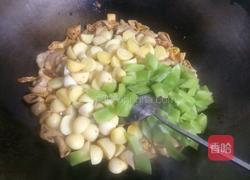 红烧土豆肥肠的做法图解7