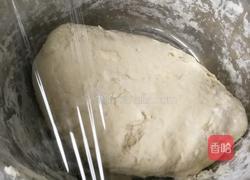 牛肉水煎包的做法图解4