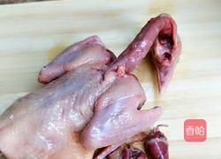 虫草花炖鸽子的做法图解2