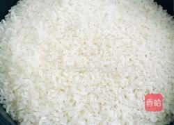 自制甜酒酿的做法图解2