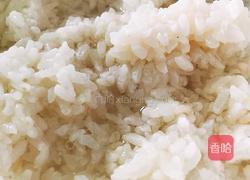 自制甜酒酿的做法图解7