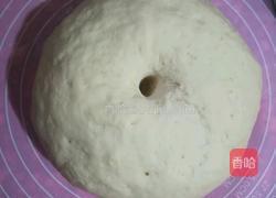 葱花卷的做法图解4
