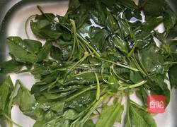 翡翠菠菜泥的做法图解1