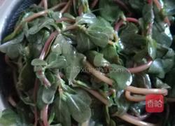 马齿菜盒子的做法图解1