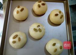 椰蓉酱餐包面包的做法图解11