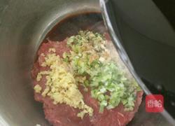 牛肉萝卜馅彩色蒸饺的做法图解4