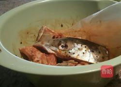 最简单的步骤做一道最鲜美的老干妈鱼头煲(附去腥妙招)的做法图解2
