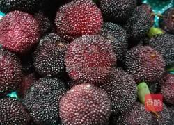 自制杨梅果酱的做法图解1