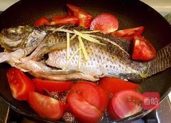 番茄水煮鱼的做法图解4
