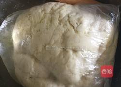 猪肉豇豆馅包子的做法图解1