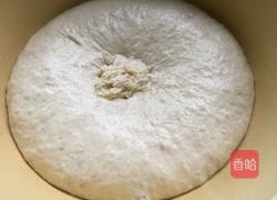 自制牛肉披萨的做法图解4