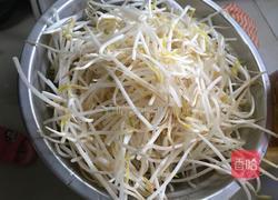 韭菜炒豆芽的做法图解1