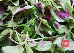 蒜泥炒红苋菜的做法图解2