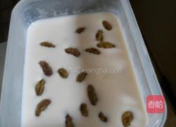 燕麦葡萄干牛奶冻的做法图解5