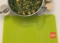 韭菜鸡蛋粉丝饺子的做法图解5