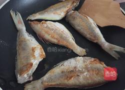 煎红衫鱼的做法图解3