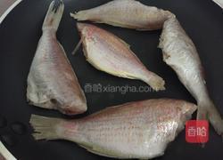 煎红衫鱼的做法图解2