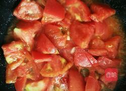 番茄炖牛腩的做法图解12