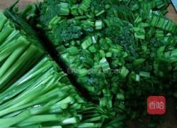 翡翠花样饺子的做法图解8