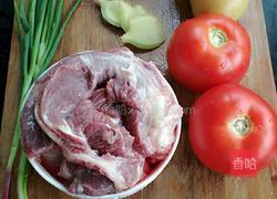 番茄炖牛腩的做法图解2