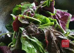 蒜蓉清炒苋菜的做法图解1