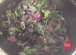 炒红苋菜的做法图解5