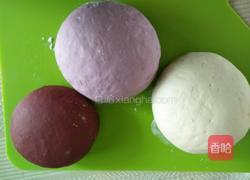 蜗牛馒头做法的做法图解5