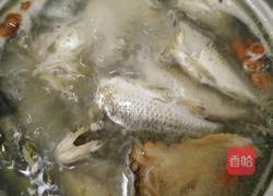 补血鱼汤的做法图解5