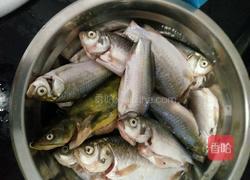 补血鱼汤的做法图解1