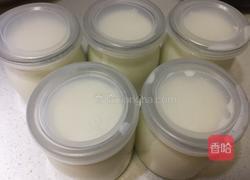 自制电饭煲酸奶的做法图解6