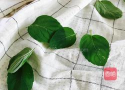 蜂蜜薄荷饮的做法图解2