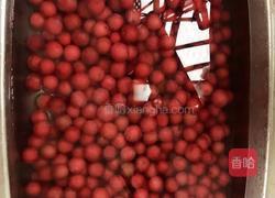 李子酒的做法图解2