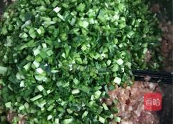 韭菜猪肉饺的做法图解6