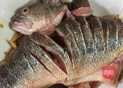 孔雀鱼的做法图解1