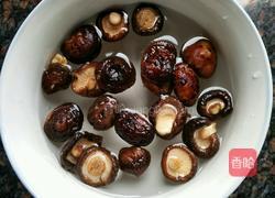 小鸡炖蘑菇的做法图解3