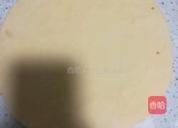 鸡肉披萨的做法图解4