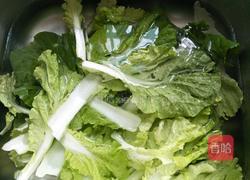 蒜香天津白的做法图解1